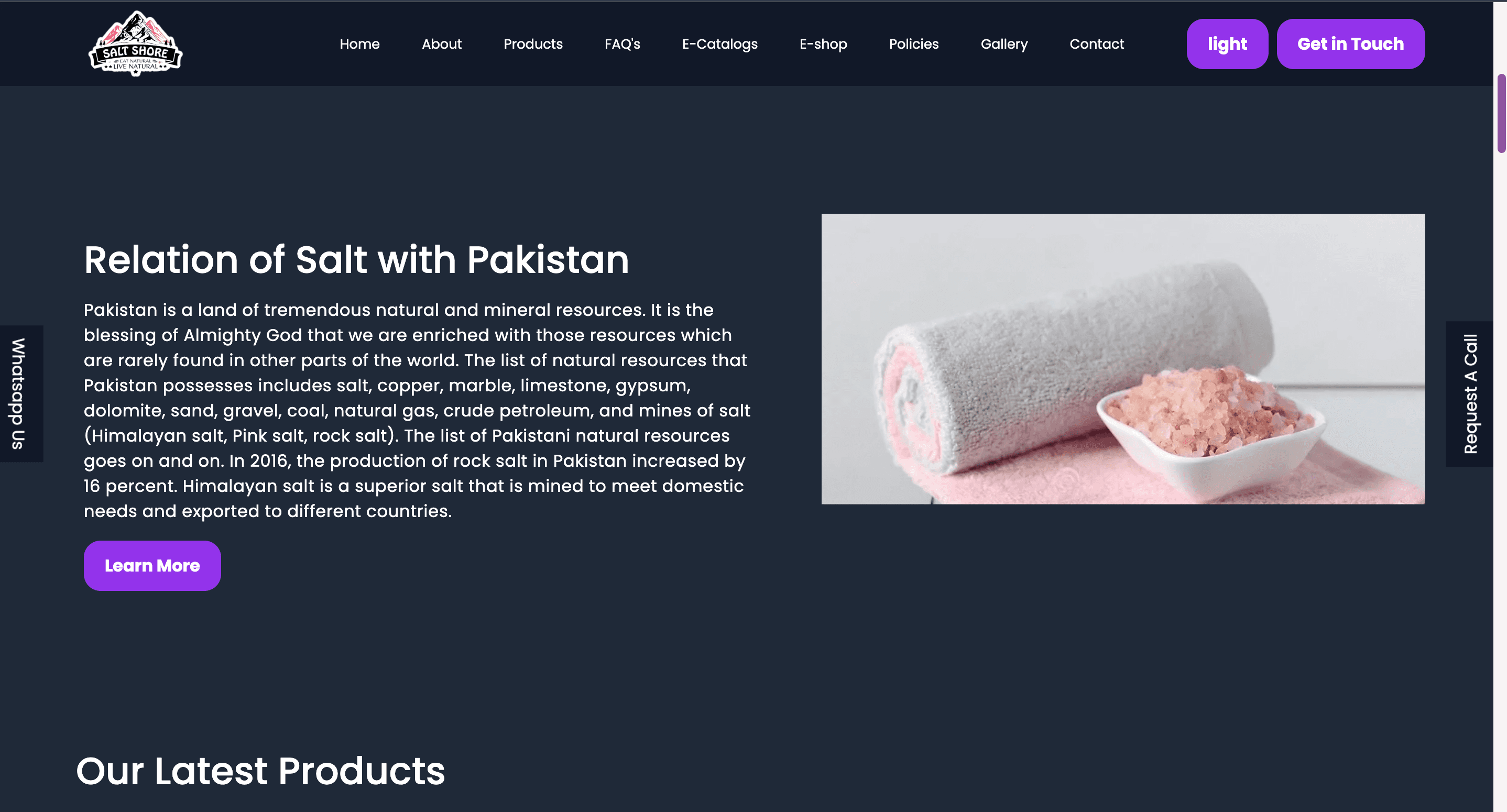 Salt Shore Landing Page